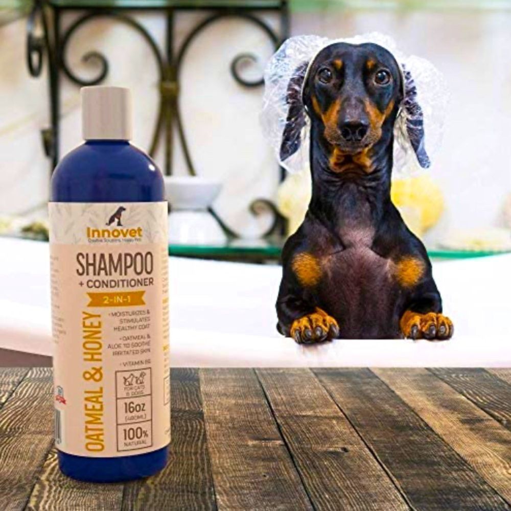 All Natural Oatmeal & Honey Shampoo + Conditioner for Dogs Cats